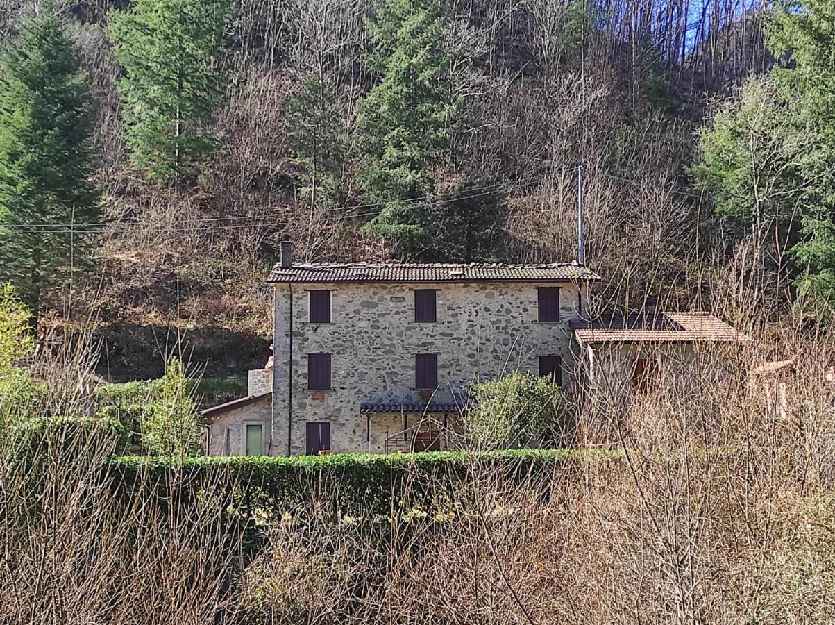 Casa Vacanze Il Boscaccio "Casa Massimo" Fornovolasco Exteriör bild