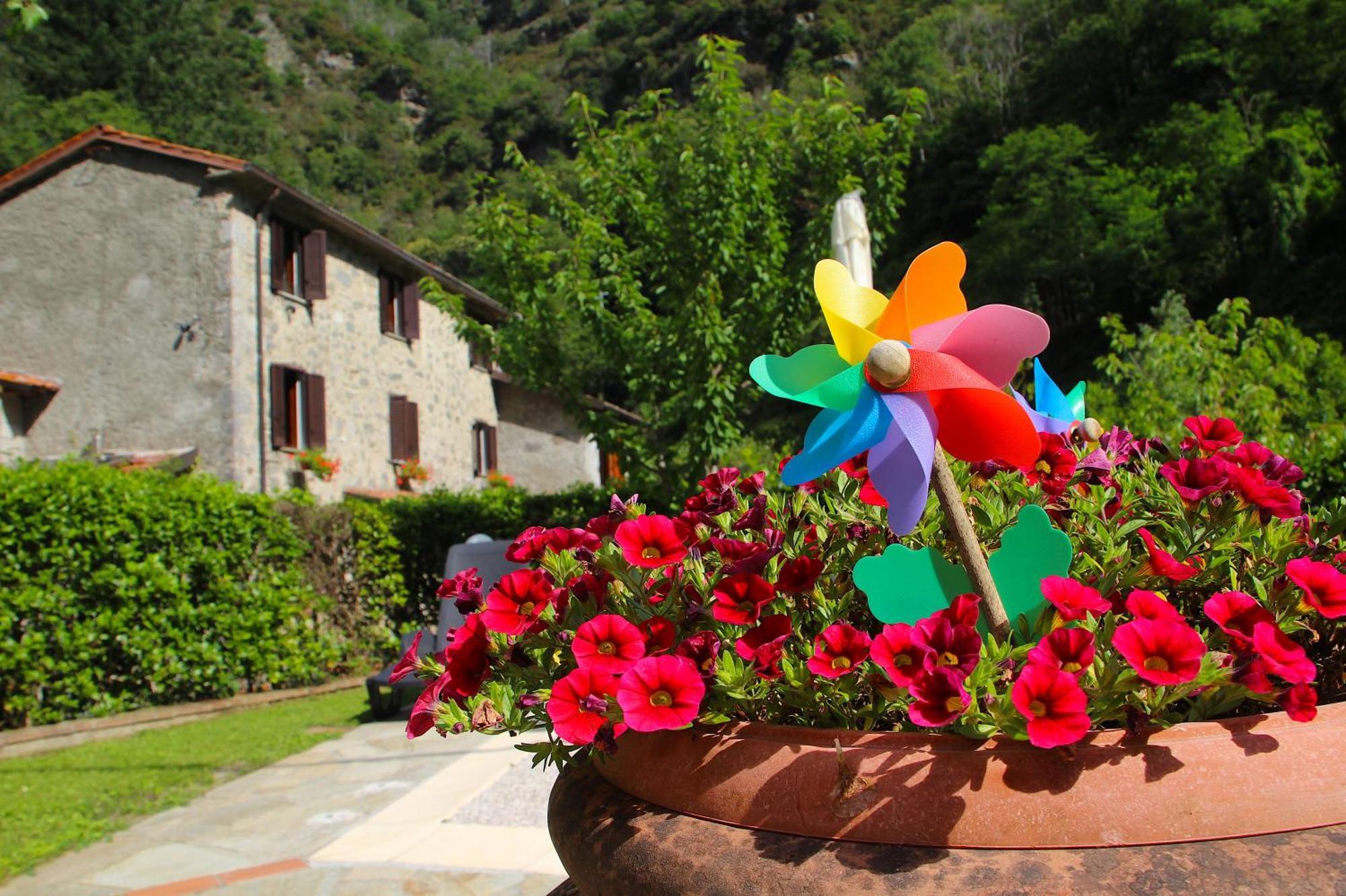 Casa Vacanze Il Boscaccio "Casa Massimo" Fornovolasco Exteriör bild